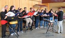 Twin Cities Labor Chorus performing