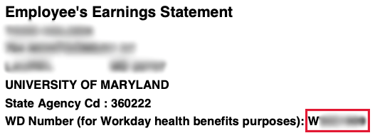 screenshot of earnings statement example with workday ID highlighted