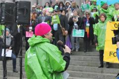 WFSE member Ken Grubb speaks to a crowd of protestors on the Capitol steps.